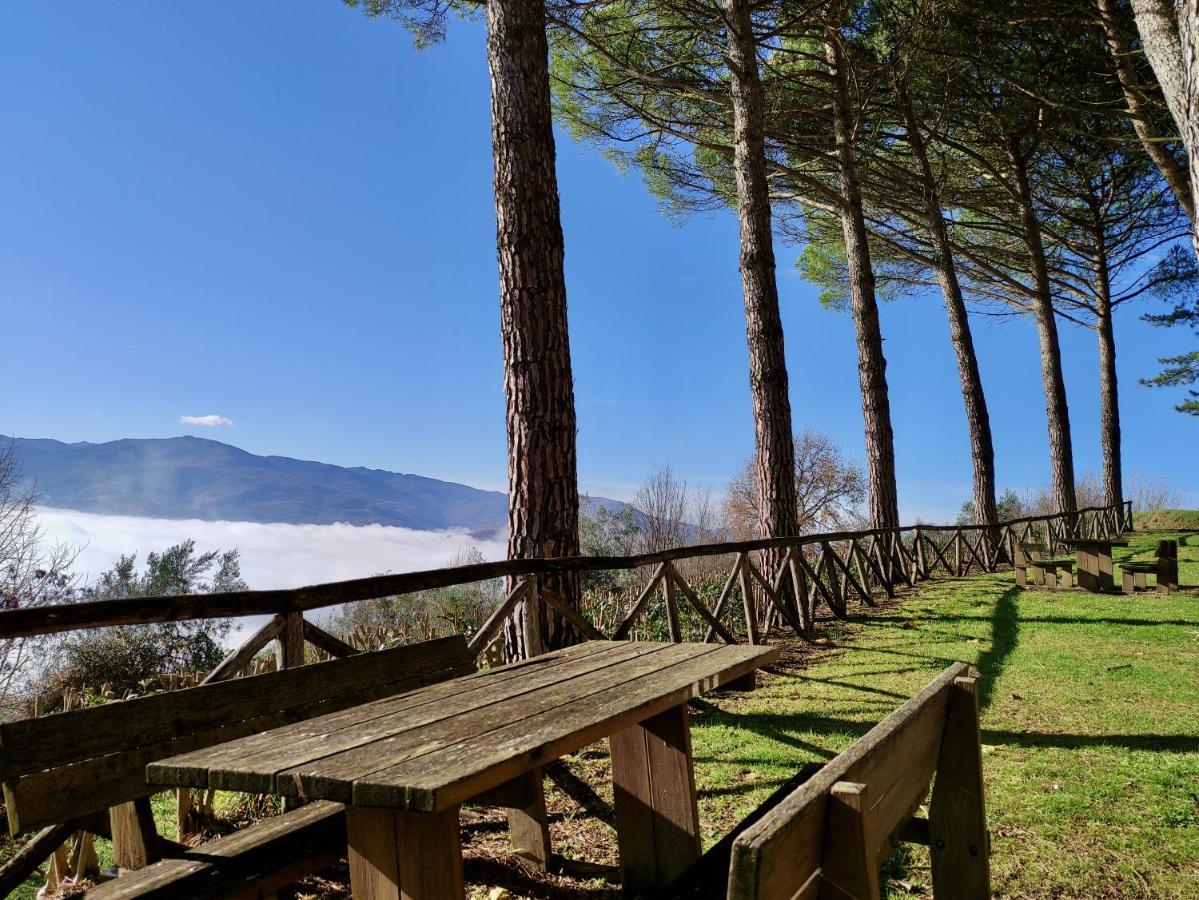 Fonte Degna - Alloggio e Sito Storico Citerna Esterno foto