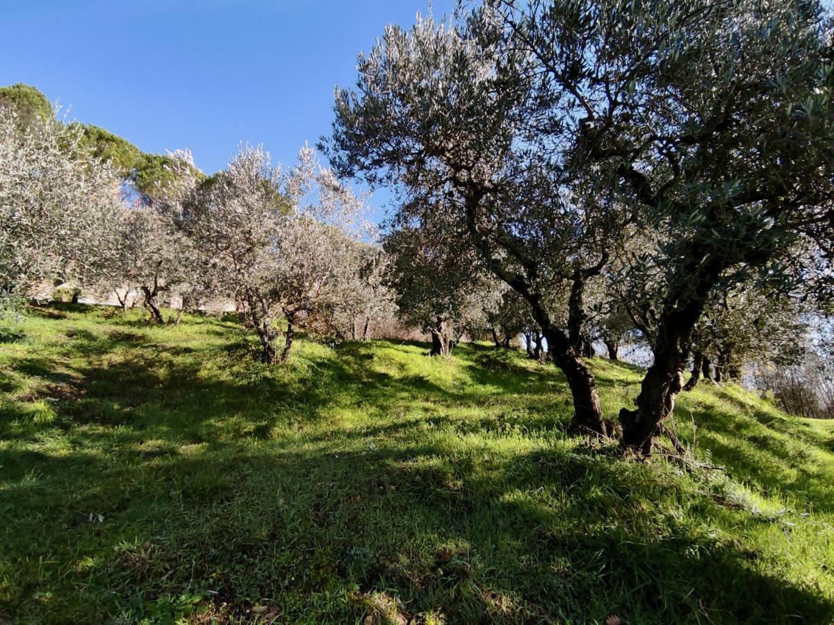 Fonte Degna - Alloggio e Sito Storico Citerna Esterno foto